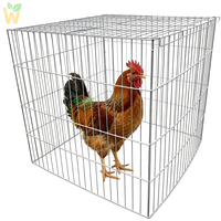 Cage pliable en fil soudé pour coqs de combat, maille de 2 mm, installation facile, cage d'entraînement pour poulets