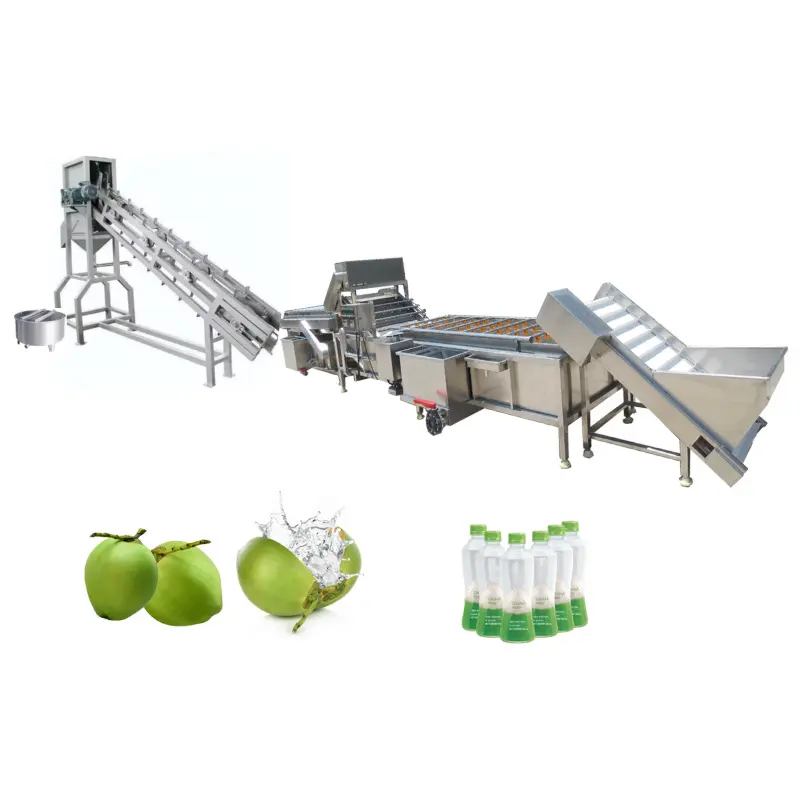 Macchina per l'estrazione del latte di cocco in acciaio inossidabile ad alto rendimento per l'impianto di lavorazione dell'acqua di cocco