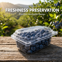 Conteneur en plastique transparent ventilé en RPET recyclé, écologique, capacité 150g, prêt à être expédié, pour l'emballage des fruits