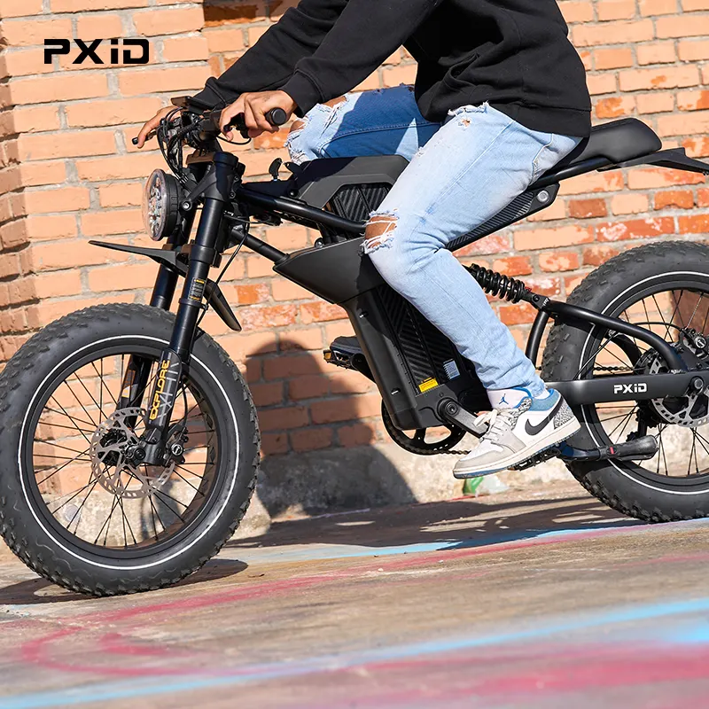 PXID MANTIS P6 electric 20 inch fat wheel e bike 750W 1000W 1500W 48V adult electric bike for men