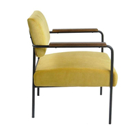 Fauteuil de salon de luxe nordique moderne en velours rembourré avec accoudoirs pour la détente - Vente en gros