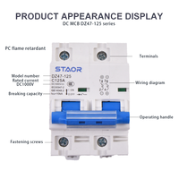 Interruptor Automático Miniatura (MCB) DC 1000V 125A DZ47-125 10kA Tipo C PA66 para Sistemas Solares Fotovoltaicos y Almacenamiento de Baterías, Montaje en Riel DIN, CE