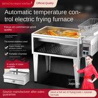 Freidora eléctrica comercial de acero inoxidable de 3000W, temperatura constante automática, cilindro simple/doble, hamburguesa, pollo frito