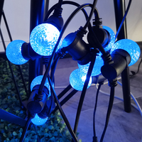 Guirlande lumineuse LED à bulles de cristal E17 personnalisée, étanche IP65, pour intérieur, extérieur, jardin, fête, Noël, décoration