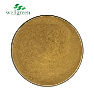 Wellgreen Main Product Sulforaphane Glucoraphanin Supplements Use Broccoli Seed Broccoli Extract Powder