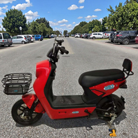 Fabricant chinois en gros, vélo électrique urbain à 2 places avec moteur sans balais 350W, batterie au plomb-acide 48V, grand panier, acier sécurisé à l'arrière