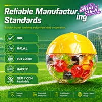 Pot de gelée multi-saveurs en forme de ballon de football, coupes de pudding moelleux assorties pour les soirées de sport et les fêtes.