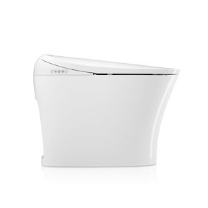 TEJJER Bidet <span class=keywords><strong>de</strong></span> <span class=keywords><strong>toilette</strong></span> en céramique une pièce à chaleur instantanée, blanc et or <span class=keywords><strong>rose</strong></span> - Product Image 2