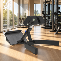 Chaise romaine professionnelle pour exercices de renforcement musculaire en salle de sport