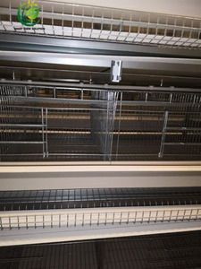 New Essential <strong>Used</strong> 90-200 Chicken One Set Poultry H-Type Galvanized Steel Layer Laying Hens Battery Automatic 4-Tier Long <strong>Cage</strong> - Product Image 4