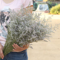 AX-20 Natürlich Getrocknete Limonium-Blume Liebhabergras Caspium Dekorativer Strauß Muttertag 19,6 Zoll