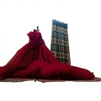 Nouvelle arrivée, robe de bal élégante pour femmes, mode, hiver, été, manches longues, tissu personnalisable, service ODM