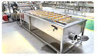 Zuid-Afrikaanse automatische productieproces van diepvries aardappelchips met behulp van industriële machines voor het maken van frieten