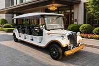Autobús Turístico Eléctrico de Lujo de 14 Plazas, Estilo Vintage, Negro y Dorado, Retro Clásico, para Complejos Turísticos y Parques Temáticos, Venta al Por Mayor