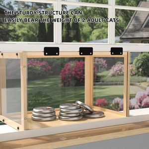 El <span class=keywords><strong>gato</strong></span> de la ventana descansa en el patio. La caja de la ventana <span class=keywords><strong>del</strong></span> <span class=keywords><strong>gato</strong></span> de madera se coloca en la <span class=keywords><strong>terraza</strong></span> de la ventana <span class=keywords><strong>del</strong></span> <span class=keywords><strong>gato</strong></span> interior - Product Image 5