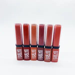 Low Moq Bright Color Lip Stick Charming Fascination Long Lasting Non-stick Cup Waterproof Lip Gloss
