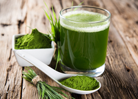 Poudre de superaliments biologiques QINSHANTANG, mélange de plantes complètes, extrait de plantes vertes, boisson santé pour adultes