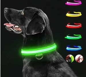 Coleira de Cão LED Ajustável e Recarregável com Luz Anti-Perda para Noite, Padrão Sólido em Nylon, Eletrônico para Animais de Estimação em Todas as Estações - Product Image 1