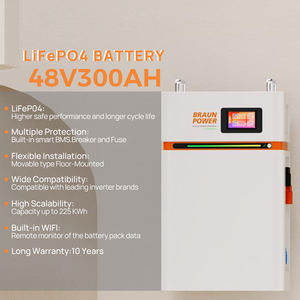 新欧盟<span class=keywords><strong>PL</strong></span>库存53.2 V 300Ah 200A BMS 15kwh电池家用储能太阳能系统壁挂支架 - Product Image 4