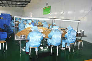 가장 좋은 가격 중국 원산지 도매 싱푸 호두 커널 90% 반 여분의 빛 하이 퀄리티 공장 직접 공급 원시 커널 - Product Image 6