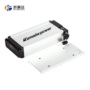Tianlong Case Ebike Battery With BMS 12v 10ah 24v 12ah 36v 12.5ah 10.5ah 11ah Li-ion Battery pack