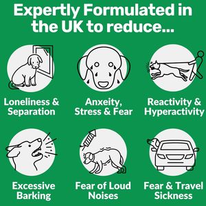 OEM/ODM Vet-Recommended Pet Calming Soft Chews Anti-Anxiety Pet Complément alimentaire pour chiens et chats Soulagement de la relaxation et du stress - Product Image 2