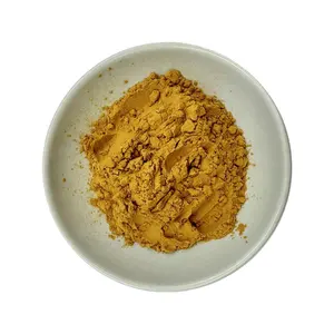 Best Selling Herbal Natural Qualidade Mulberry Folha Extrato