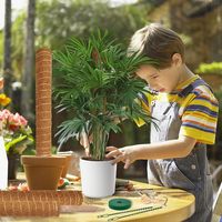 8 paquets de piquets de 16 pouces pour plantes d'intérieur, bâtons de mousse de coco pour plantes grimpantes en pot