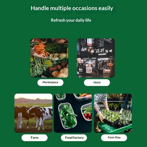 Papel Antimosquitos y Moscas para Cocina, No Tóxico, Sin Aroma, Paquete de 10 Hojas, Accesorios para el Hogar - Product Image 2