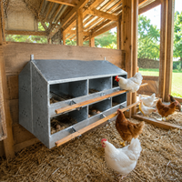 Nichoir ventilé pour volailles, boîte de ponte robuste en métal pour l'élevage de poulets en arrière-cour, usage commercial en poulailler