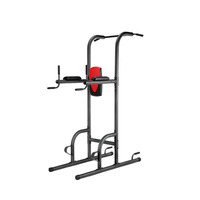Torre de Ejercicios de Acero Inoxidable con Barra de Dominadas y Estación de Dips, Capacidad de 450 LBS, Estable para Gimnasio en Casa, Ejercicios de Fitness y Culturismo