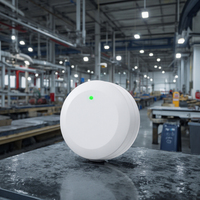P2 KKM Longue Portée Ble 5.0 Bluetooth Balise Accéléromètre 10 Ans Autonomie de la Batterie Balise Tag BLE pour le Suivi des Actifs
