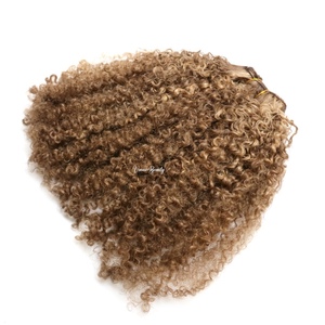 Rambut Asli Warna Pirang Abu-abu dengan Highlight Pirang Madu Gelap, Afro Kinky Curly 27, Warna Cokelat Muda, Ekstensi Rambut Manusia Kinky Curly - Product Image 3