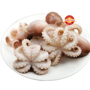 Pulpo Congelado de Primera Calidad, Pulpo al por Mayor, <span class=keywords><strong>Precio</strong></span> Económico, Proveedor Competitivo para Exportación - Product Image 6