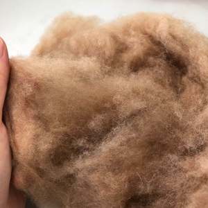 Lông Lạc Đà/Lông Lạc Đà Lông Siêu Mềm Giá Sỉ - Product Image 5