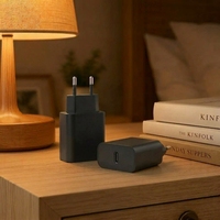 Chargeur USB-C PD 3.0 33W Super Rapide Certifié CE Ignifuge avec Protection PPS OTP/OVP Adaptateur 5V3A Écologique pour Écouteurs et Appareils Photo