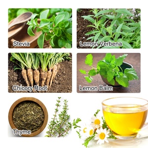 Té Digestivo Orgánico Chinaherbs, Sin Aditivos, Vegano, Sin OMG, Sin Gluten, Verbena Limón para Adultos, Post-refección - Product Image 4