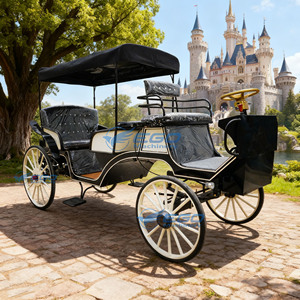 Voiture de tourisme noire à double rangée à vendre, chariot de transport en acier soudé, véhicule électrique spécial transport - Product Image 6