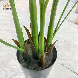 Vente en gros Livraison rapide Palmier artificiel <span class=keywords><strong>Arbres</strong></span> en <span class=keywords><strong>pot</strong></span> décoratifs en plastique de haute qualité <span class=keywords><strong>pour</strong></span> la maison - Product Image 5