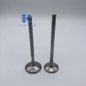 Valvola Motore Forgiata dal Produttore, Valvola di Aspirazione, Valvola di Scarico per BMW 750 <span class=keywords><strong>Li</strong></span> 4.4L N63 N63B44 S63 S63B44A 11347570163 11347570164 - Product Image 3