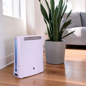 Deshumidificador y purificador de aire de alto rendimiento DD7 para sala de estar - personalización disponible - Product Image 1