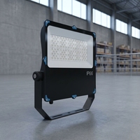Projecteur LED robuste et durable de 50W, 100W, 150W, 200W pour l'extérieur des musées