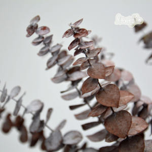 Nouvel article Eucalyptus immortel feuilles d'eucalyptus conservées à la main fleur de feuille d'eucalyptus - Product Image 3