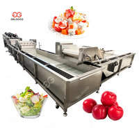 Cherry Tomaat Wasmachine Snijden Verpakking Automatische Drogen Groente En Fruit Was En Schilmachine