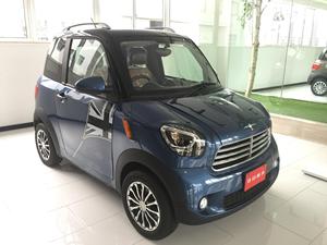 Sunshine ECC quadricycle ยานยนต์ไฟฟ้าขนาดเล็กแบบคลาสสิกจากจีนได้รับการรับรองจาก EEC COC - Product Image 3