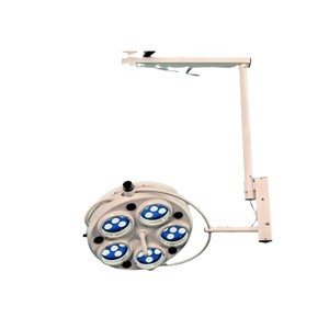 Lampe d'examen dentaire WYD-365 5600K, montage au plafond, métal, avec certification CE, pour usage clinique - Product Image 4
