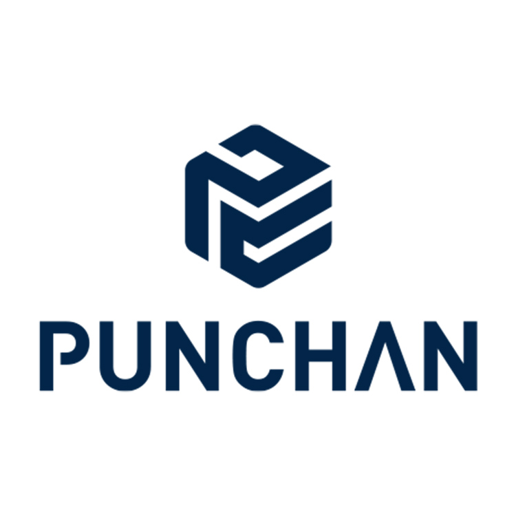 Guangdong Punchan Home Technology Co., Ltd. logo