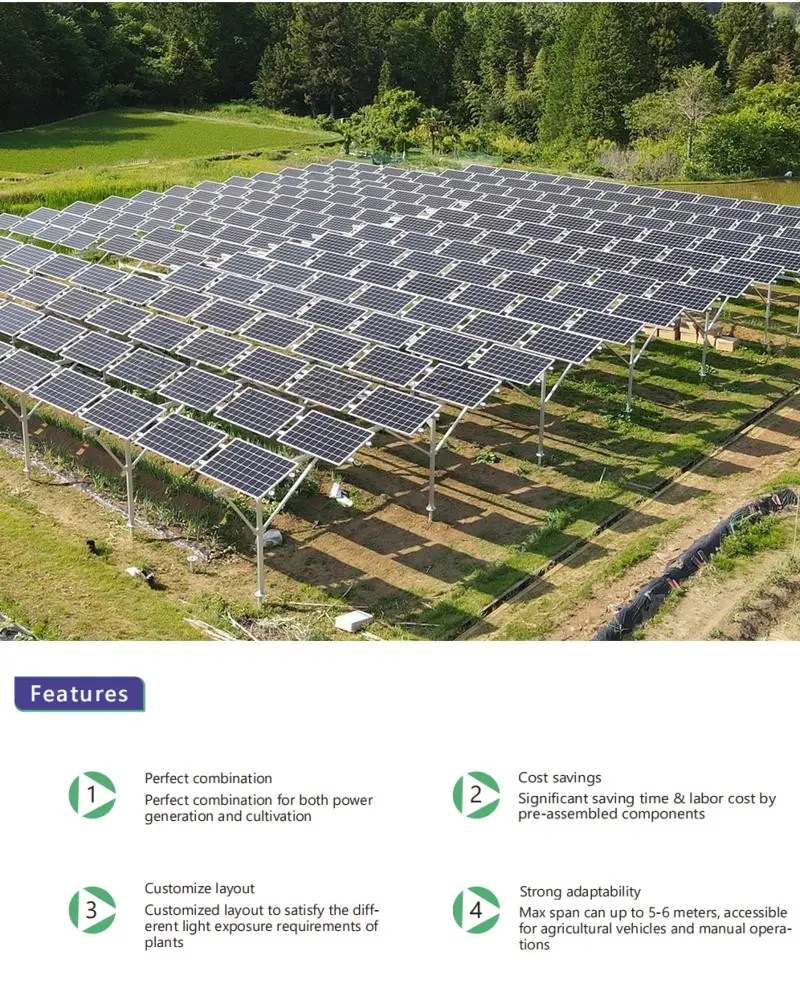 1 MW Agriculture PV Solar Farm Mounting System Solar Power Greenhouse Solar PV Panel Ground Mounting Structure For Farms · image 2