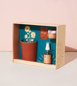 Kit de plante de parfum de bougie brillante, vente en gros, kit de fabrication de bougie parfumée, Kit de positivité rayonnante, bougie DIY dans un pot de <span class=keywords><strong>jardinière</strong></span> - Product Image 2