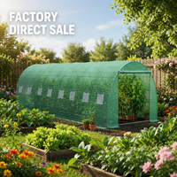 Serre tunnel 3x6 avec structure pour la culture de tomates, le jardinage et la pépinière